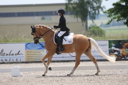 Herzbube und seine junge Reiterin Marie-Elise Layer in der Qualifikation zum Bundeschampionat. | © D.Matthaes (Archiv)