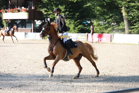 Allegra Hüttig und ihr Gusti gewinnen die zweite Wertung der Ponyreiter. | © Altmeyer