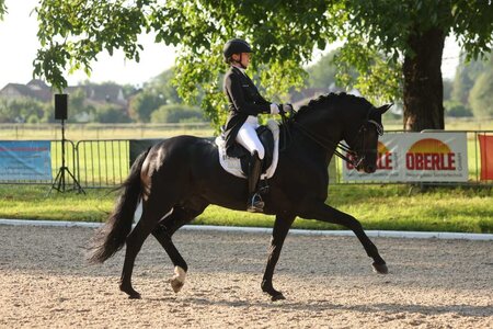 Pia Casper mit Birkhofs Fair Game | © D. Matthaes