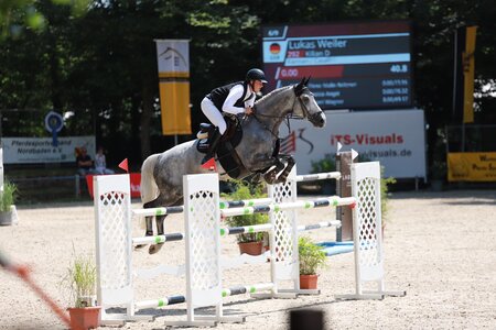 Lukas Weiler gewinnt die zweite Wertung der Jungen Reiter. | © Altmeyer