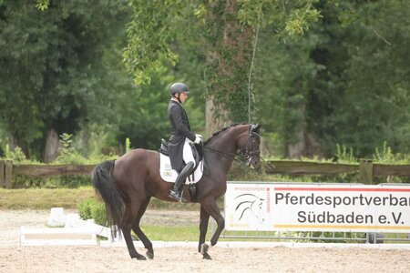 Neuer Landesmeister: Timo Kemmerer  | © D. Matthaes