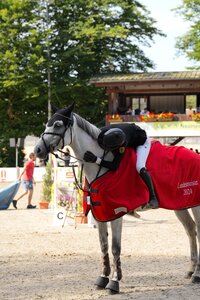 Ein Küsschen von Mia Brugger für Incognito. | © Lilly Buchholz