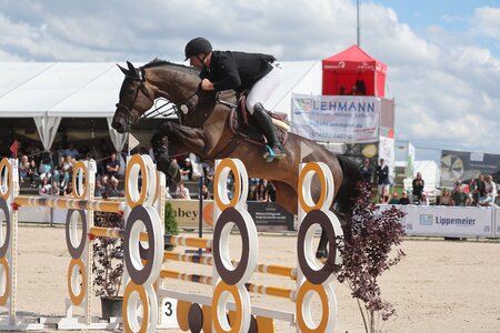 Thomas Holz und Cash-Back fliegen zum Sieg | © Doris Matthaes 