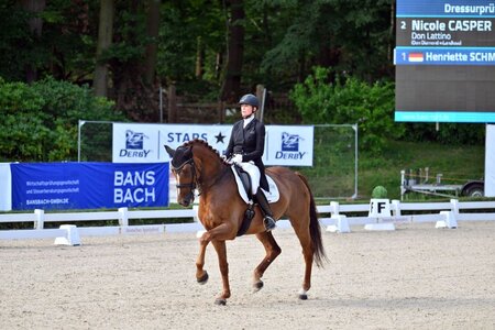 Nicole Casper und Don Lattino sicherten sich in der Einlaufprüfung DERBY Stars von Morgen in Darmstadt Platz zwei. | © Dill