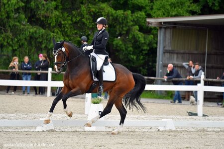 Lisa Buchhold und Zaza 2021 in Illertissen | © Dill (Archiv)