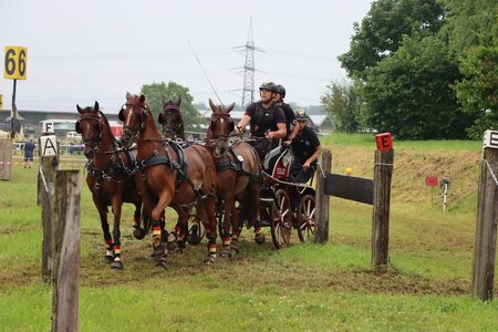 Steffen Brauchle im Gelände in Ichenheim | © Herbert Rauser