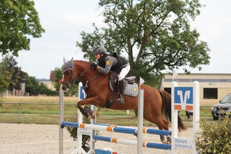 Moritz Steimle mit Discolo | © D. Matthaes