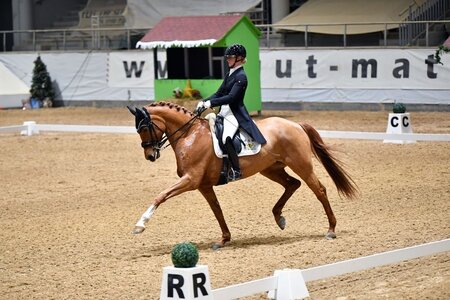 Vera Breidenbach mit Stute FBW Fürstin Primavera | © Dill (Archiv)