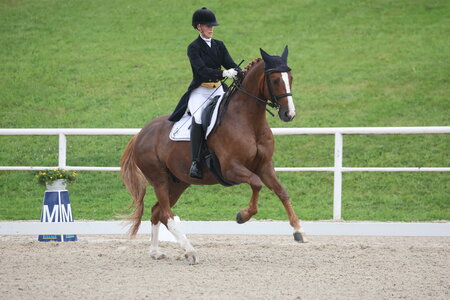 Marie-Christin Kogel siegte bei den Amateuren auf Einsterne-Niveau. | © D. Matthaes