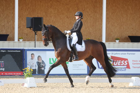 Ann-Kathrin Lachemann siegte mit Florida's Dream bei den jungen Pferden. | © D. Matthaes