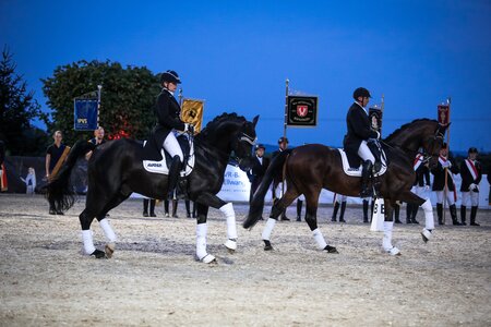 Das doppelte Goldene für Sabrina Linsenmaier und ihren Vater Hans-Peter Bosch in Jagstzell  | © Janina Sanwald