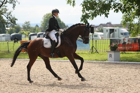 Corinna Peter und Royal Universe bei den diesjährigen Amateur-Landesmeisterschaften. | © D.Matthaes (Archiv)