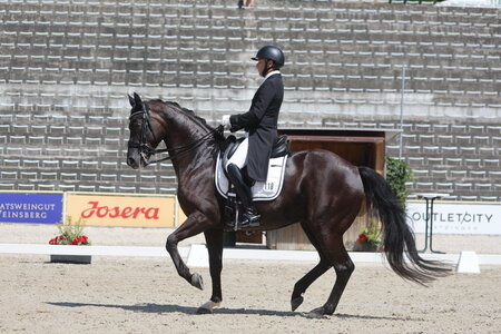 Bilderbuchpiaffe: Timo Kemmer mit Dantes Zazou | © D. Matthaes