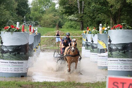 Action war angesagt am Springbrunnen-Hindernis. | © Rauser