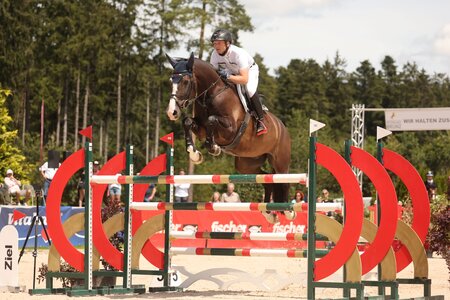Michael Jung und der sprunggewaltige Fischerheros Z in Waldachtal. | © Matthaes