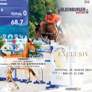 Eine einmalige Auktionsofferte bietet sich Springsport-Fans am 15. August 2024! | © OLD Art