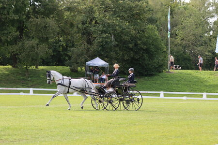 Ciara Schubert und Lassila in München bei den DM der Einspänner. | © Herbert Rauser