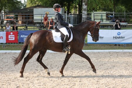 Auch Greta Grill darf beim Bundesnachwuchschampionat 2024 starten. | © Foto (Archiv): D. Matthaes