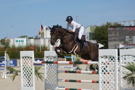 Elisabeth Meyer und Dame Noir siegen im Zwei-Sterne-S in Durmersheim. | © D. Matthaes
