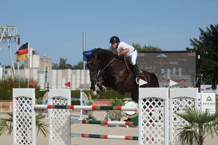Andy Witzemann und Kolibri. | © D. Matthaes