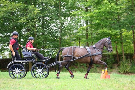 Den 14. Titel eingefahren: Bettina Winkler und der DSP-Bayer Hermann  | © Brit Placzek