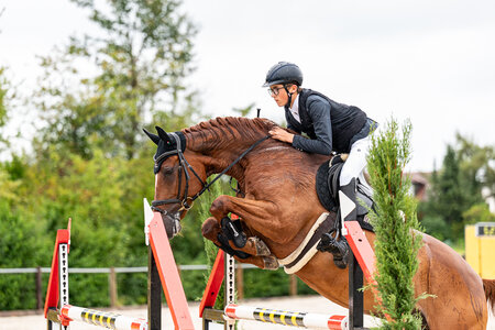 Ein tolles Team: Erik Kölz und Sweet Temptation. | © Claretta Lukas