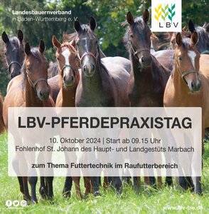 Am 10. Oktober findet der LBV-Pferdepraxistag in St. Johann statt.  | © LBV