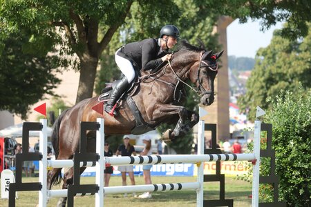 Julian Holzmann mit Handsome | © D. Matthaes