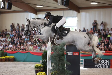 Tina Deuerer und ihr Überflieger DSP Emrado D. | © D. Matthaes (Archiv)