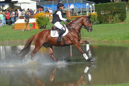 Hey Lucky Stan FBW und Sophie Leube ziehen wie im Vorjahr erneut ins Finale ein. | © Bischoff