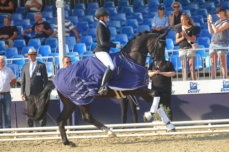 Elocin und Anna Casper siegten in der Finalqualifikation der vierjährigen Hengste. | © Bischoff
