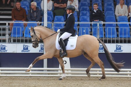 D'uplo schnappte sich mit einer bärenstarken 9,1 den Sieg in der Finalqualifikation der vierjährigen Reitponys. | © Bischoff