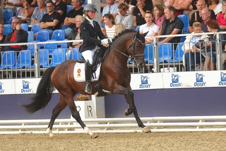 Cornelius galoppierte mit seiner Ausbilderin Michele Schulmerig ins Finale der vierjährigen Ponyhengste. | © Bischoff