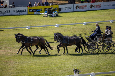 2022 gewann Michael Brauchle die Bronzemedaille in Pratoni. | © Caremans