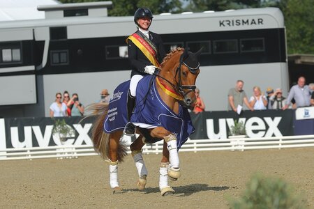 Michele Schulmerig's Goldschatz wird Bundeschampion der dreijährigen Reitponys. | © Bischoff