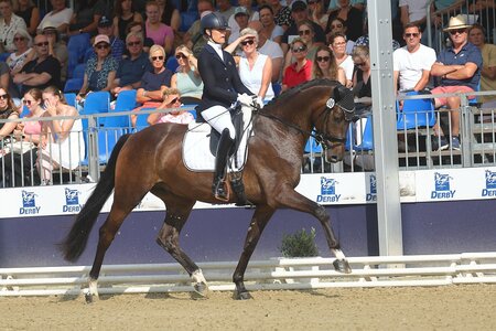 Snickers wird unter dem Sattel von Carina Harnisch Vizechampion der vierjährigen Stuten und Wallache. | © Bischoff