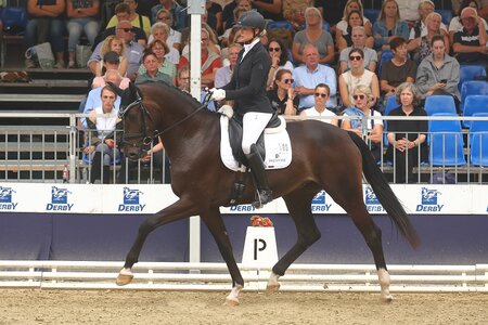 Zodiac tanzte sich ins Finale. | © Bischoff