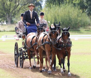 Steffen Brauchle fuhr in der Dressur als bester Deutscher auf Rang zwei. | © Roger Müller