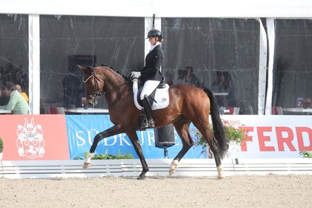 Ines Fleischmann und Vivaldinio siegten im Finale Gert-Gussmann-Cup 2024. | © D. Matthaes