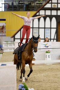 Pegasus Mühlacker lieferte auch im zweiten Durchgang bei den Deutschen Meisterschaften konstant ab. | © Julian Spilker