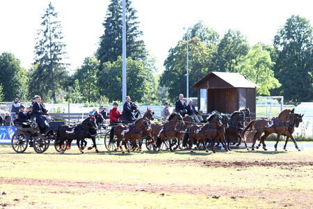 Das deutsche Team gewinnt Silber im Nationenpreis der Pony-Vierspänner. | © Doris Matthaes