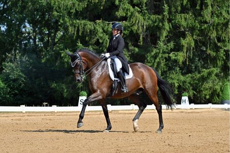 Andrea Dlugos und Qualar tanzen zum Sieg | © Dill (Archiv)