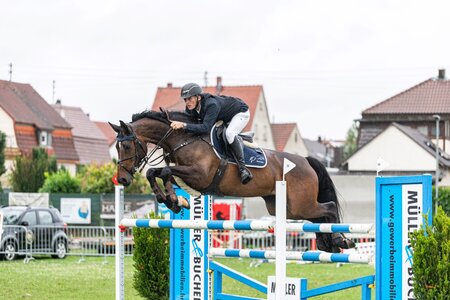 Ferstlhof's Cavalinka wird Lehrmeisterin. | © Foto (Archiv): Bambi Fotografie
