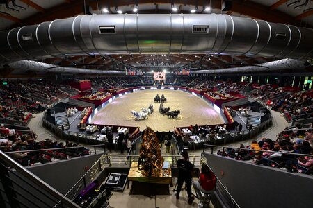 Im Dezember locken die Amadeus Horse Indoors nach Salzburg. | © Kaiser/Presse