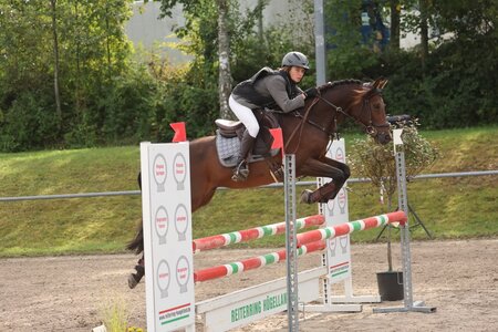 Moritz Steimle und Pony Sternenstaub reiten beim Finale des Landesjugendcup zum Sieg | © D. Matthaes