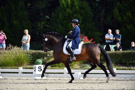 Katrin Burger pilotierte Mico zu seinem ersten S***-Sieg. | © Dill