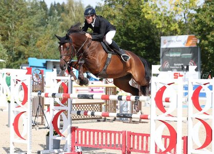 Clever und schnell: Dimanche Z unter Markus Kölz