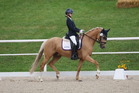 Martha Louise Temme hat sich in diesem Jahr für das Bundesnachwuchschampionat Pony in Darmstadt ein Finalticket geschnappt. | © D. Matthaes
