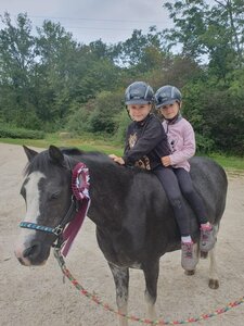 Beim Dressurturnier in Reutlingen wird es eine Kindereskorte geben. | © privat