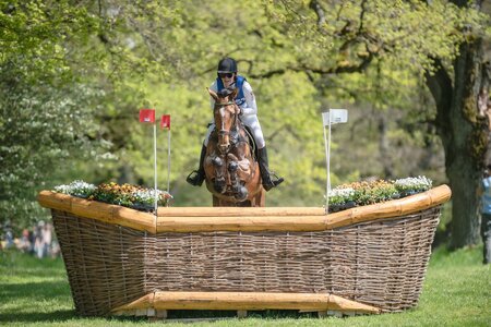 Beim internationalen Vielseitigkeitsturnier in Marbach findet 2026 ein Nationenpreis statt.  | © TomsPic